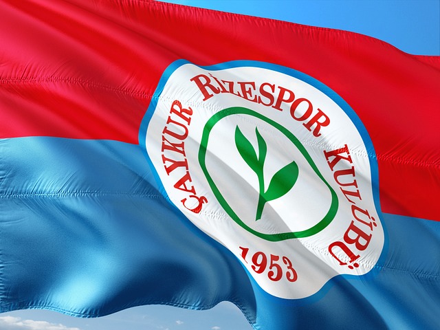 赛的经验 赛的经验