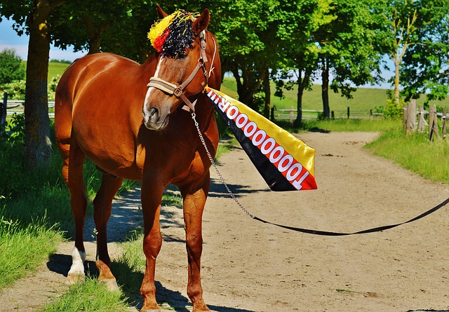 未来几年因 未来几年因