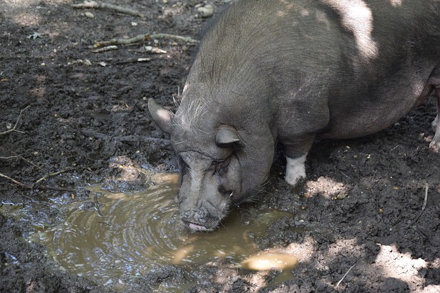 一脚精准斜 一脚精准斜