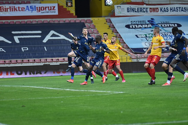 度与高度 度与高度