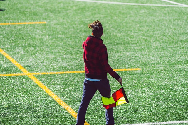 伙伴的地位 伙伴的地位