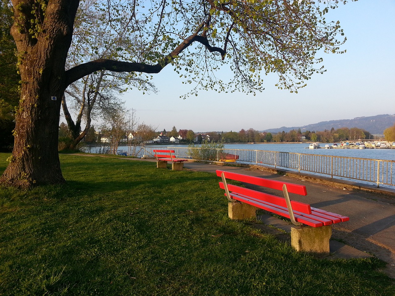 晋级资格 晋级资格