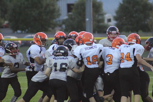 发展和交流 发展和交流